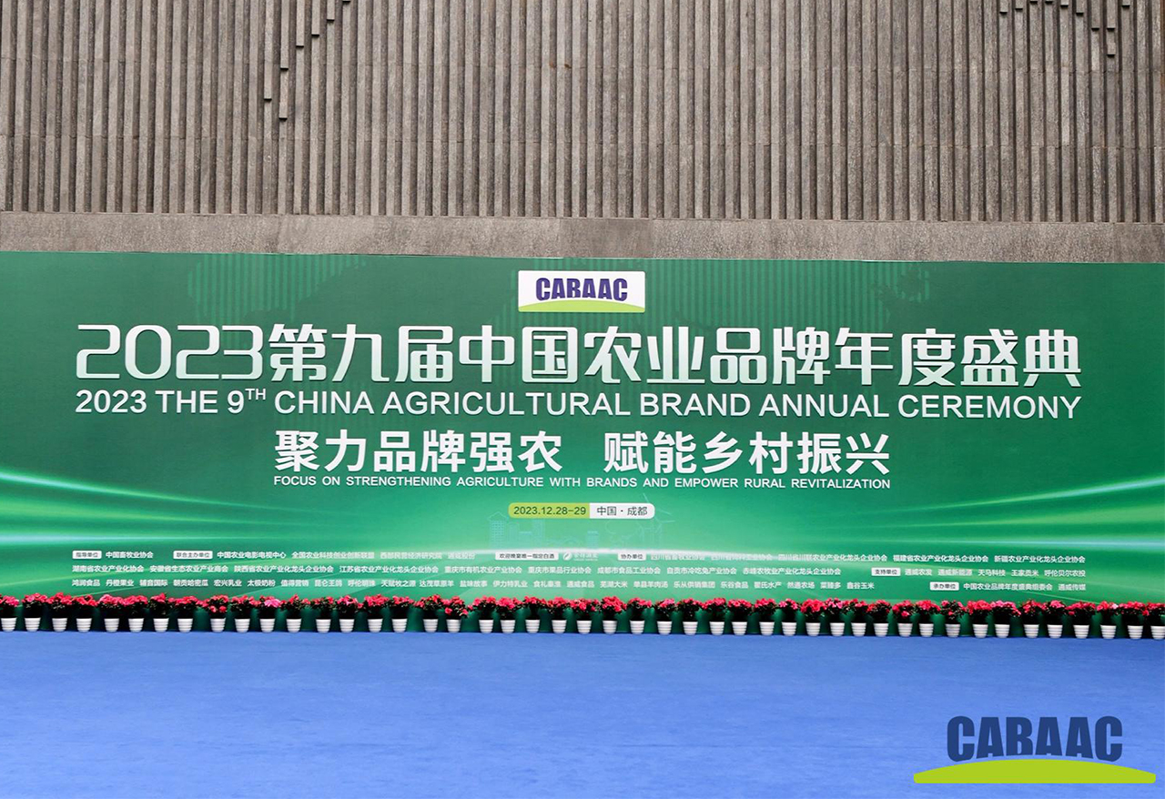 e213123.jpg e213123.jpg