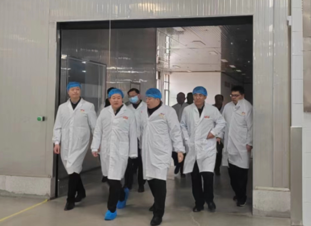 書記2.png 書記2.png